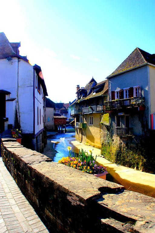 Apartament Les Pavillons Du Rooy Salies-de-Béarn Zewnętrze zdjęcie